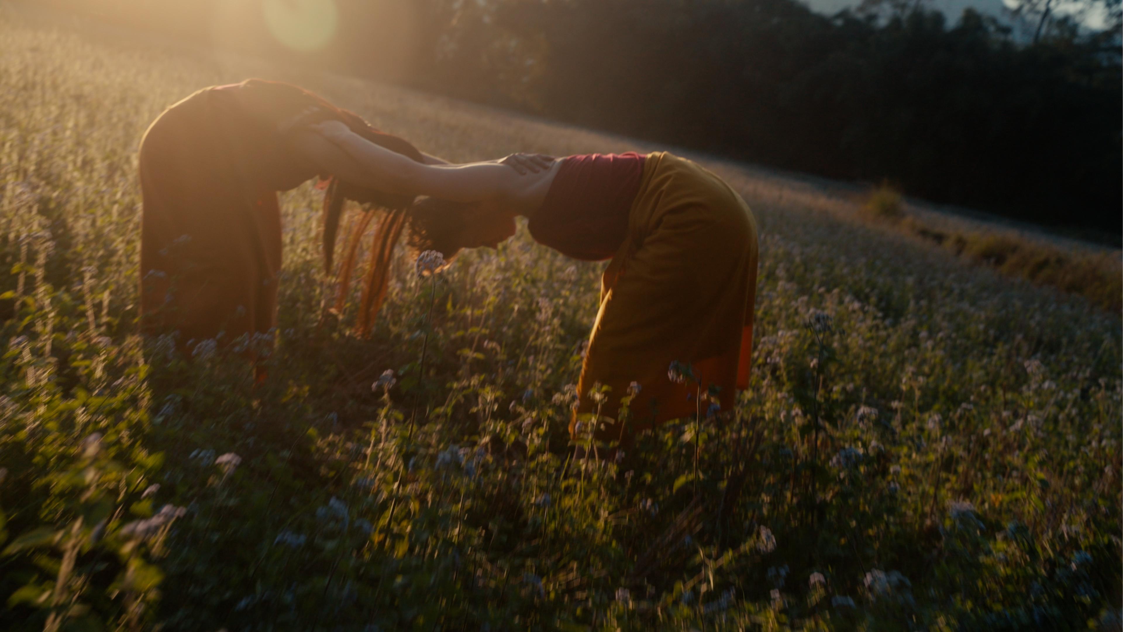 Color graded sample 8